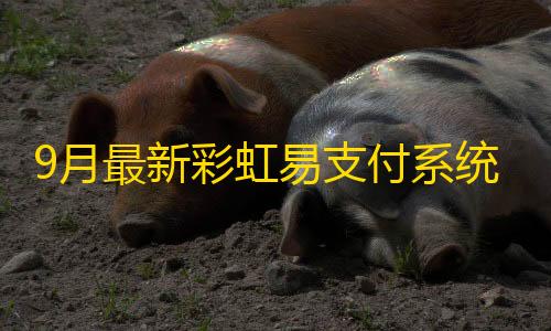 重试机制9月最新彩虹易支付系统php源码开心版